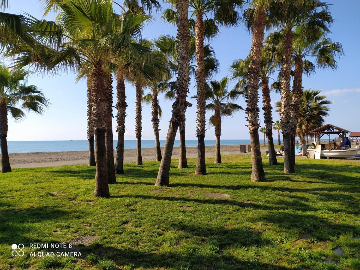 Playa Con Vistas Al Mar *